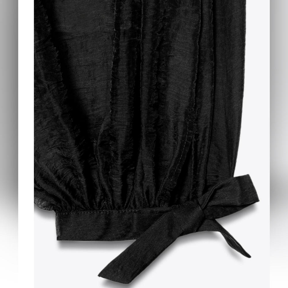 ZARA Semi-sheer Pants - Picture 3 of 3
